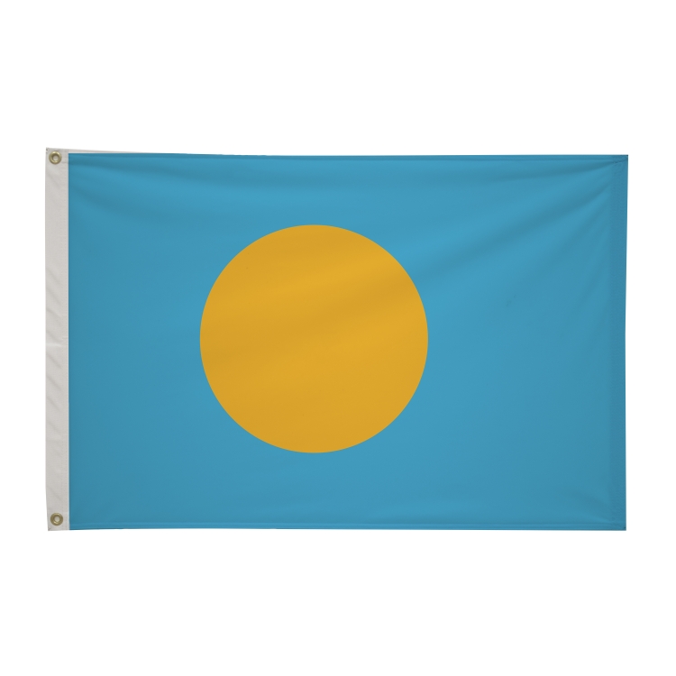 2' x 3'International Flag 312