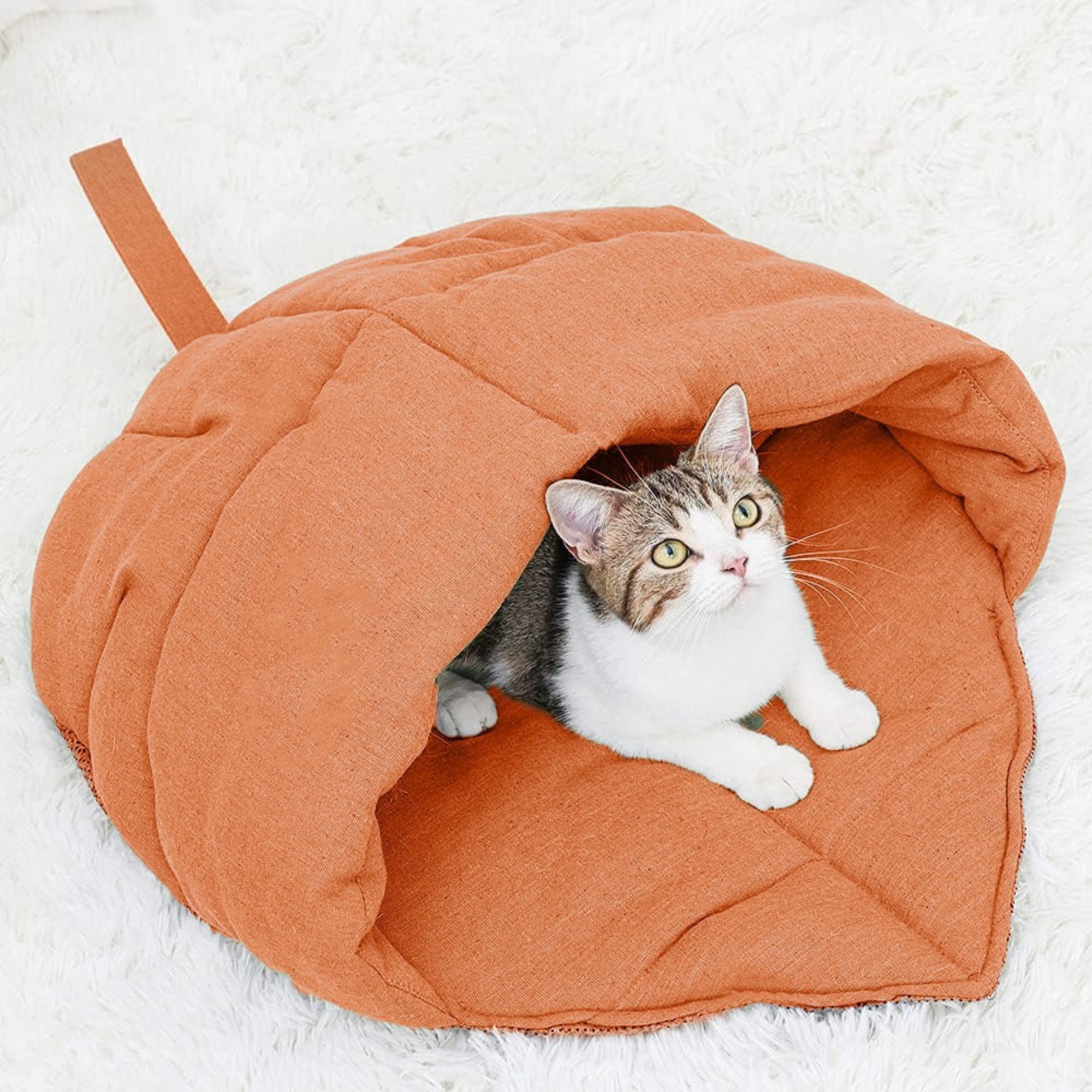Cat Sleeping Bag 4