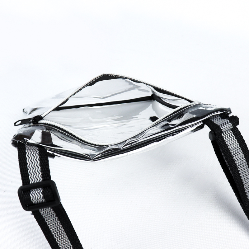 Eco Friendly Clear Purse/ Satchel 5