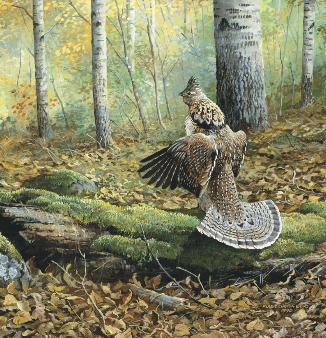 Triumph® Calendars Wildlife Art Calendar 38