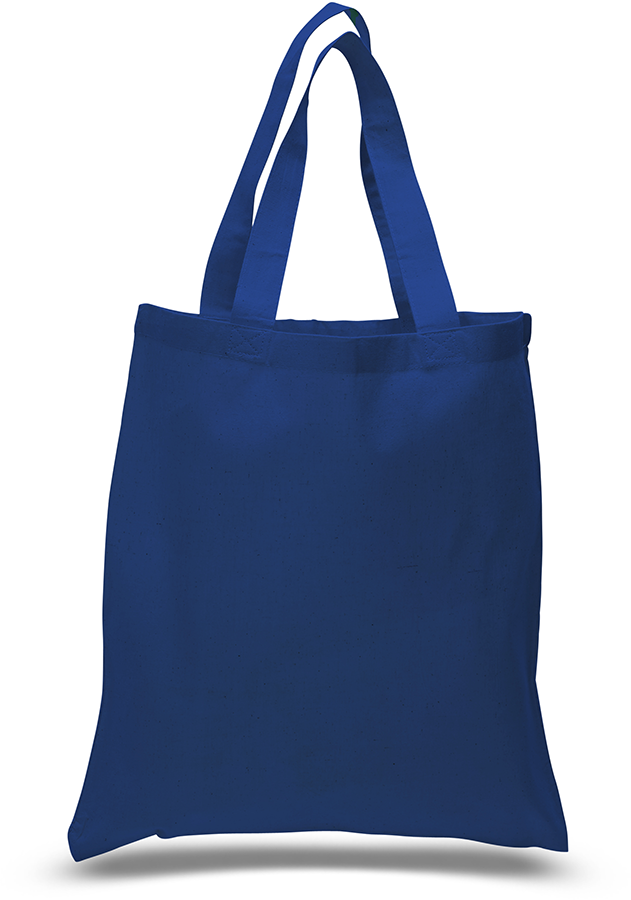 DailyMate Economical Everyday Tote Bag 24