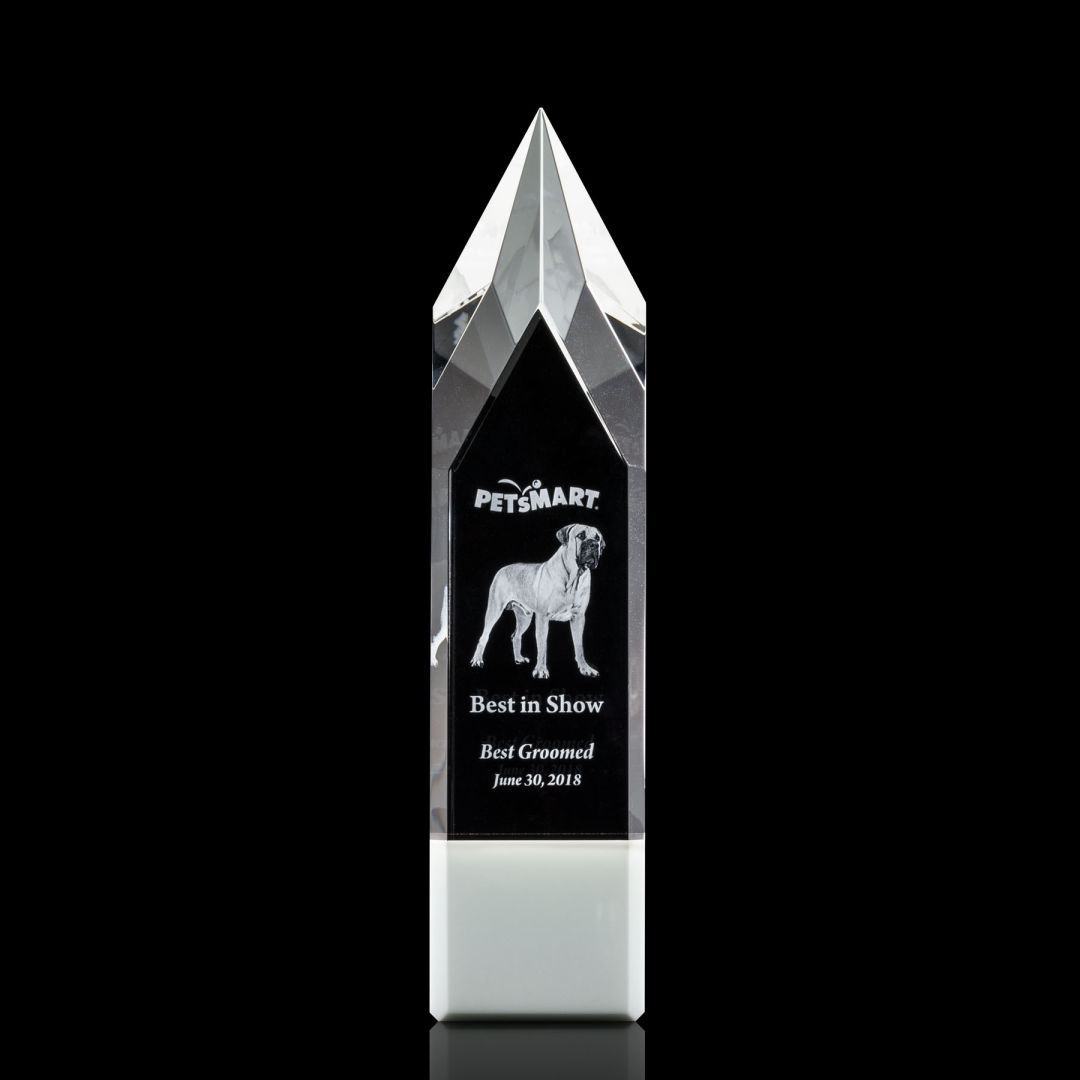 Coventry 3D Award - White 7