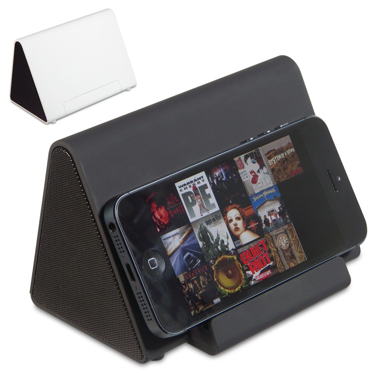 4123SPK - Induction Speaker 2