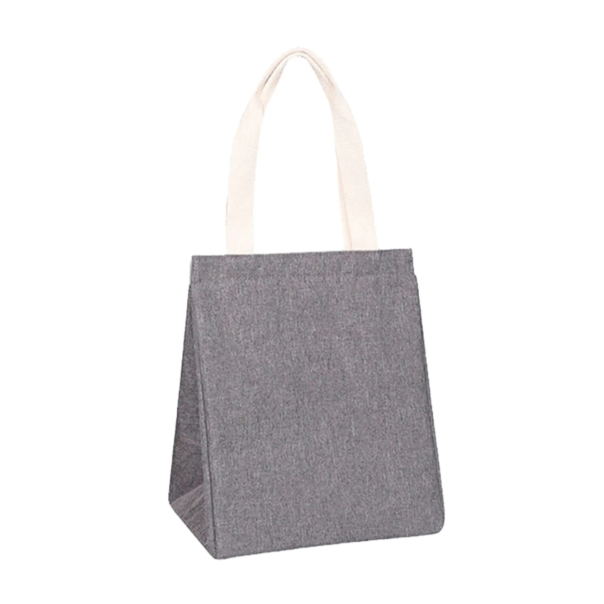 Insulated Reusable Lunch Tote 2