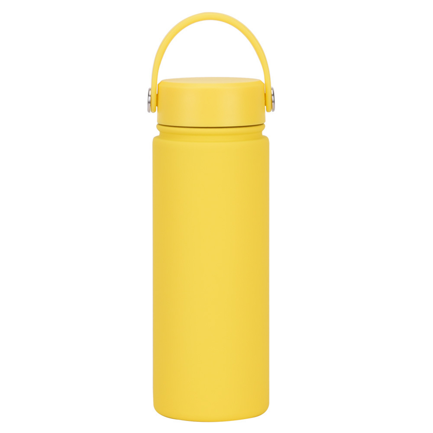 Stainless Steel Travel handled Water Bottle 4