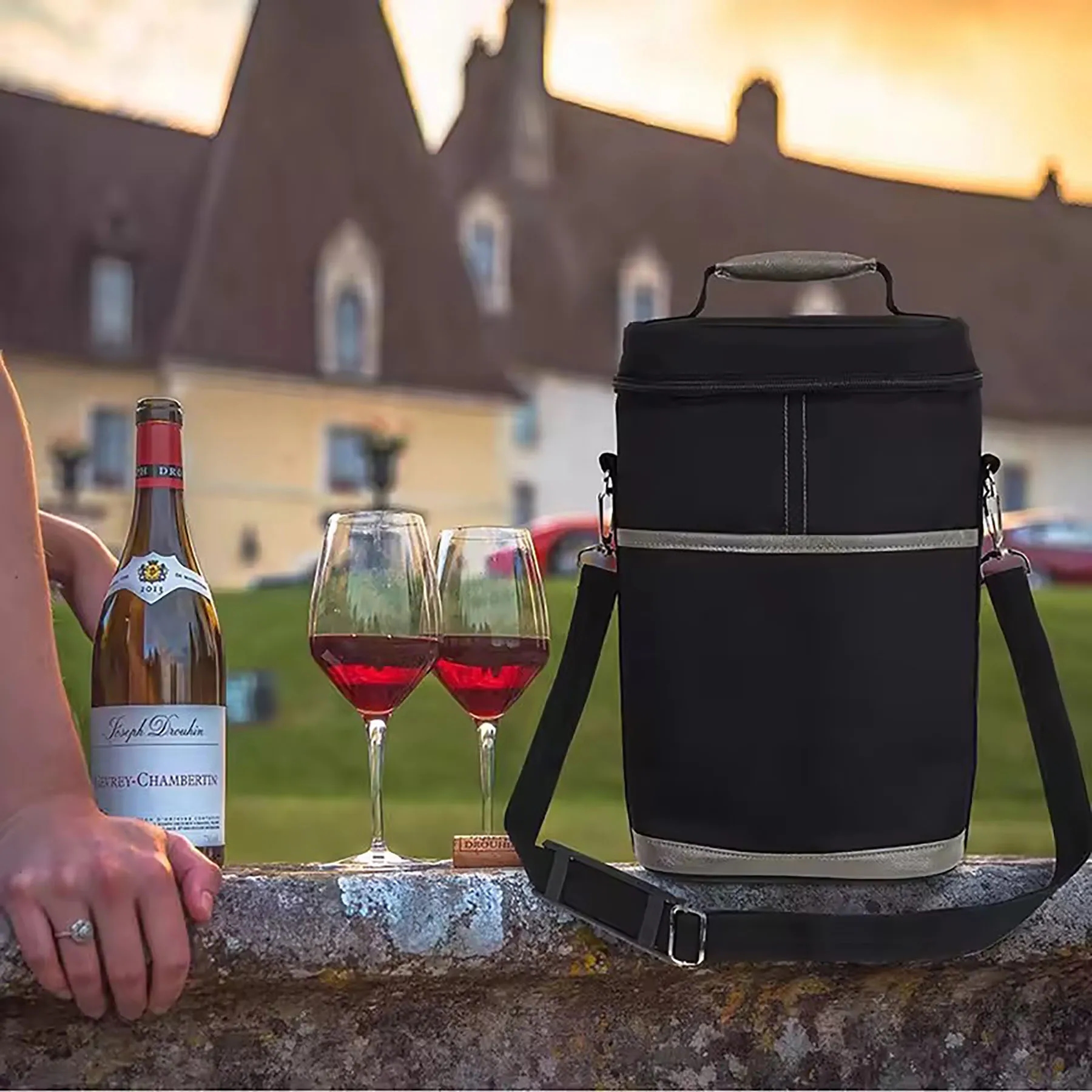 Wine Insulated Bag 3
