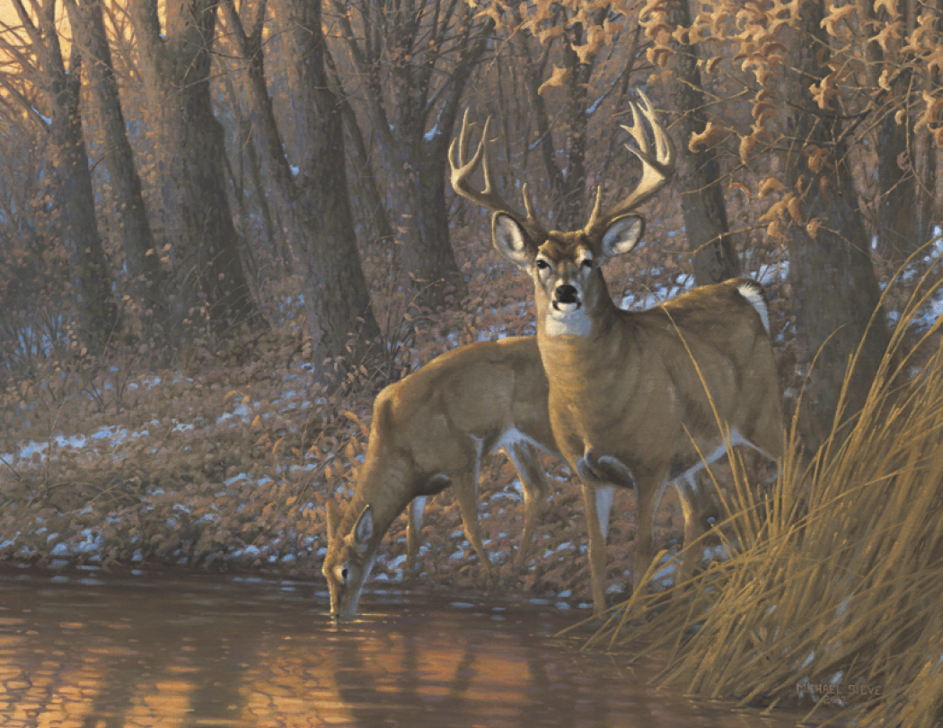 HotLine® Products Wildlife Collection Appointment Calendar - Stapled 21