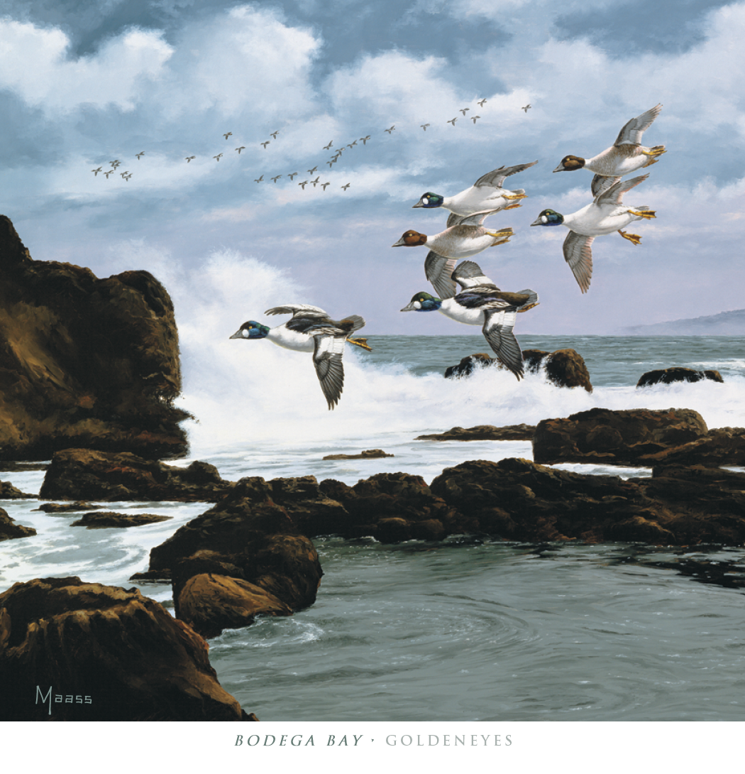 HotLine® Products David Maass Executive Calendar 36