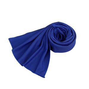 Quick Dry Microfiber Towel 26