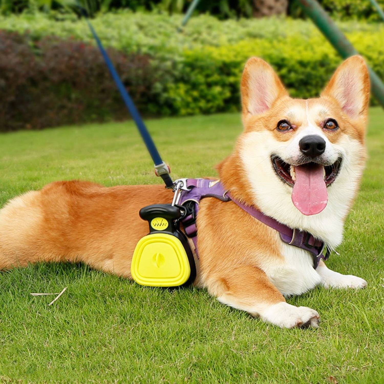 Pet toilet collector 3