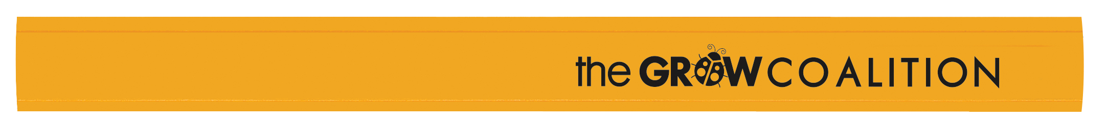 Carpenter Pencil 12