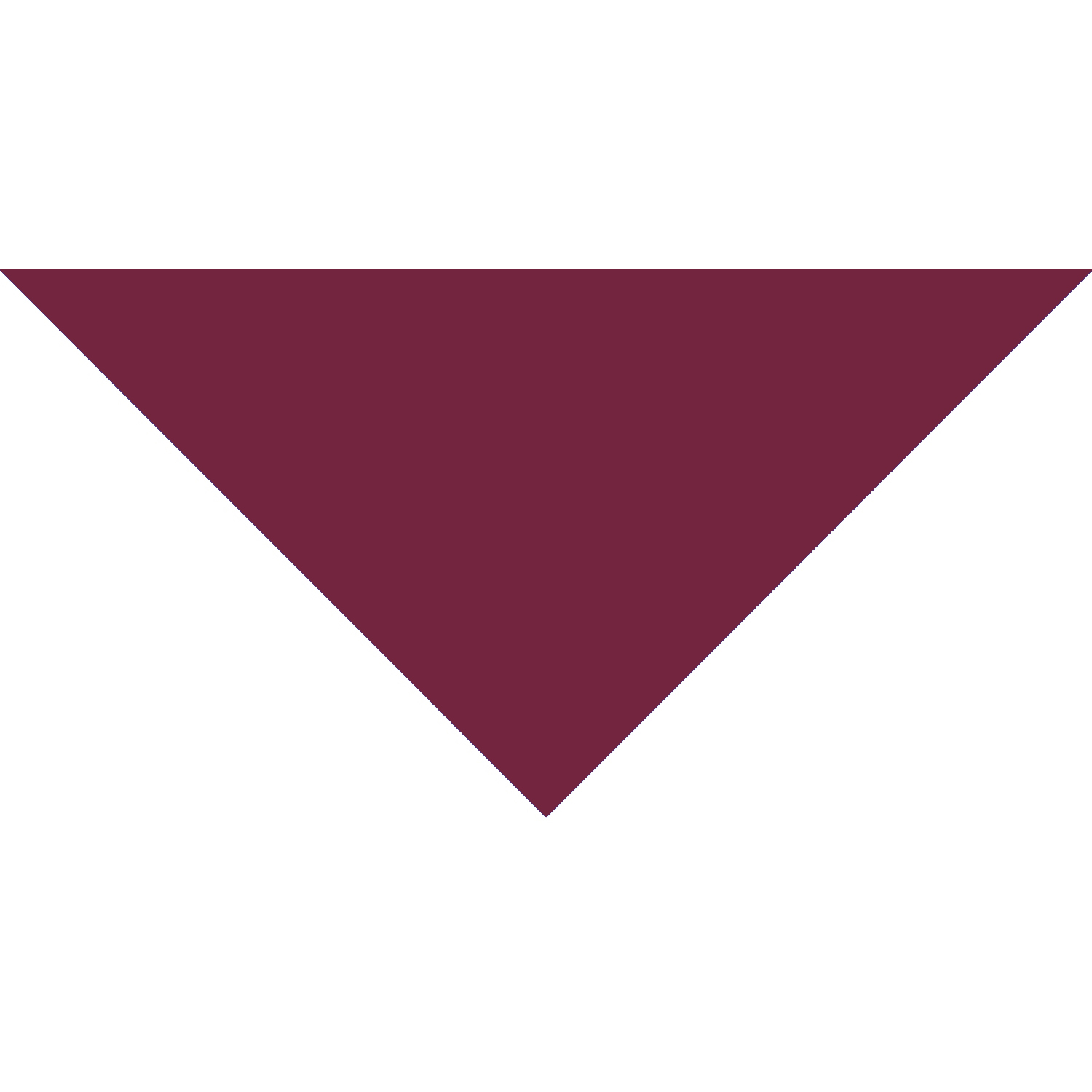 Small Triangle Pet Bandana w/ Screen Print 22