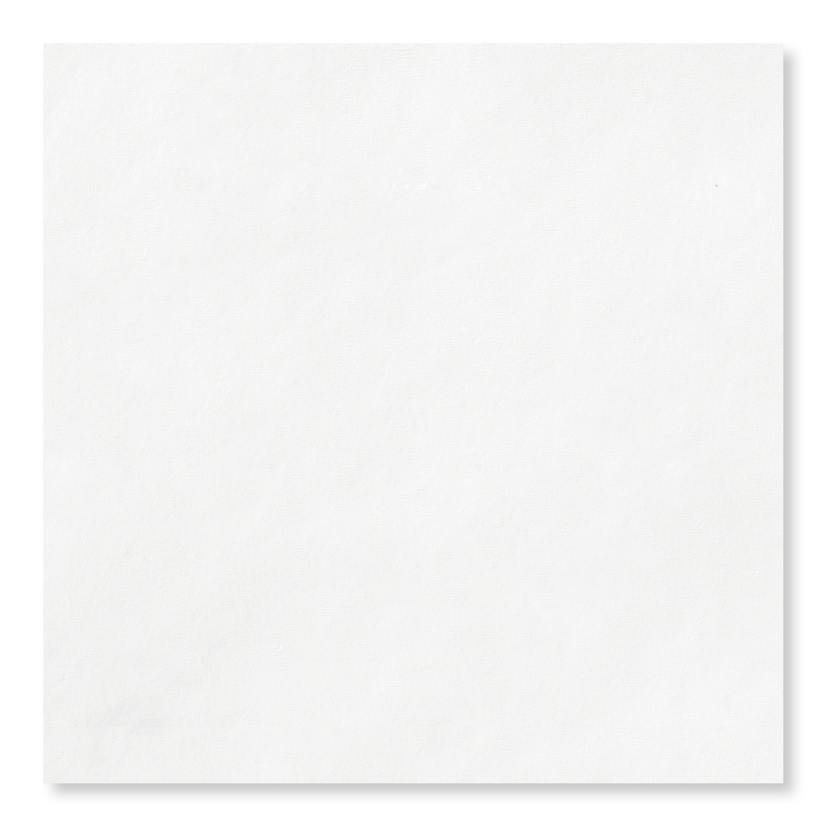 Full Color 3 Ply Premium Beverage Napkins 2