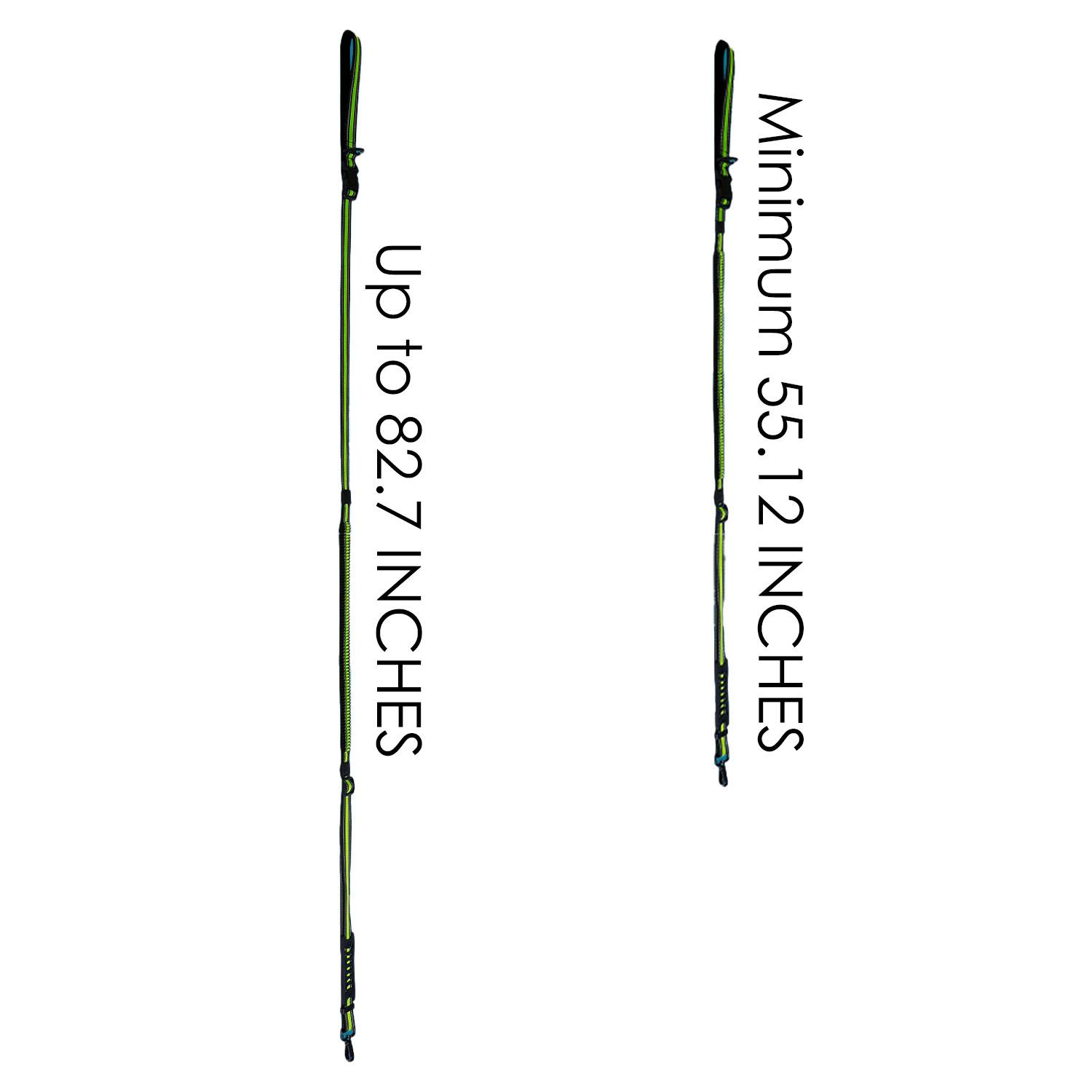 Pet leashes 6