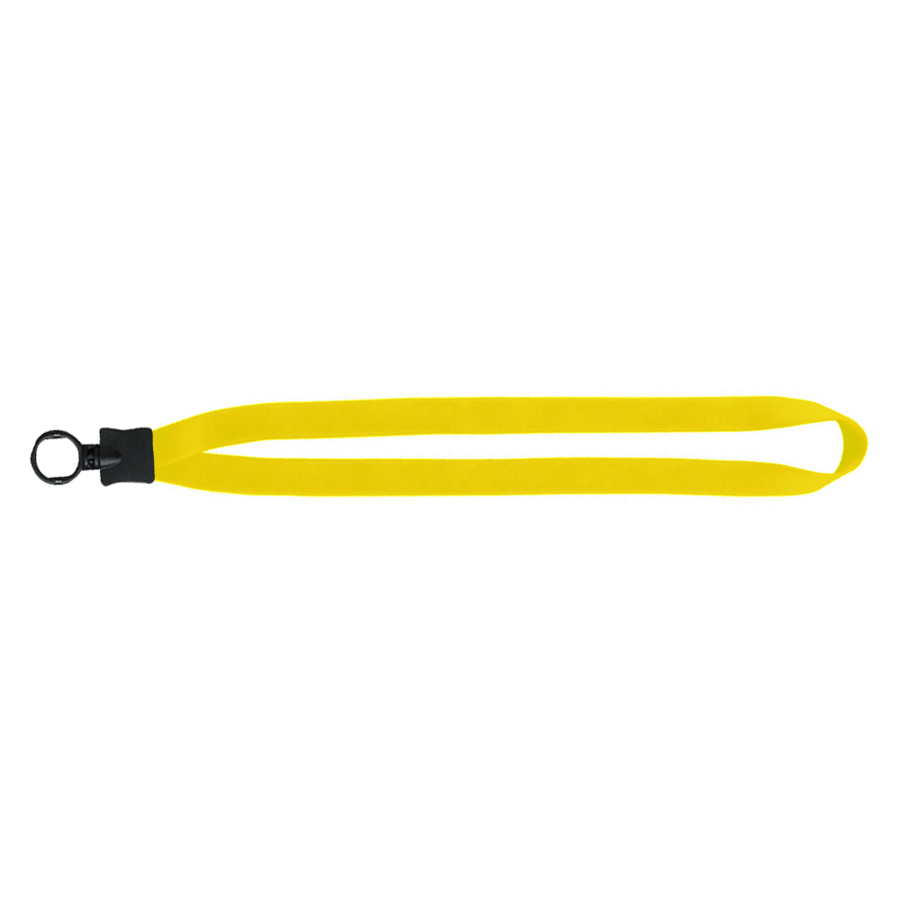 ColorPop Detachable Lanyard with Key Ring 2