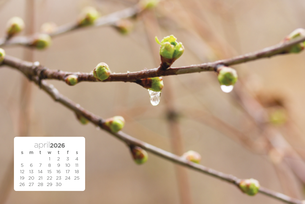 Triumph® Calendars Simplicity Large Desk Calendar 11