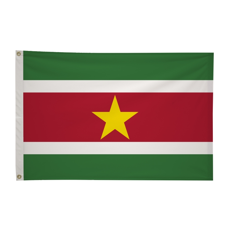 2' x 3'International Flag 74