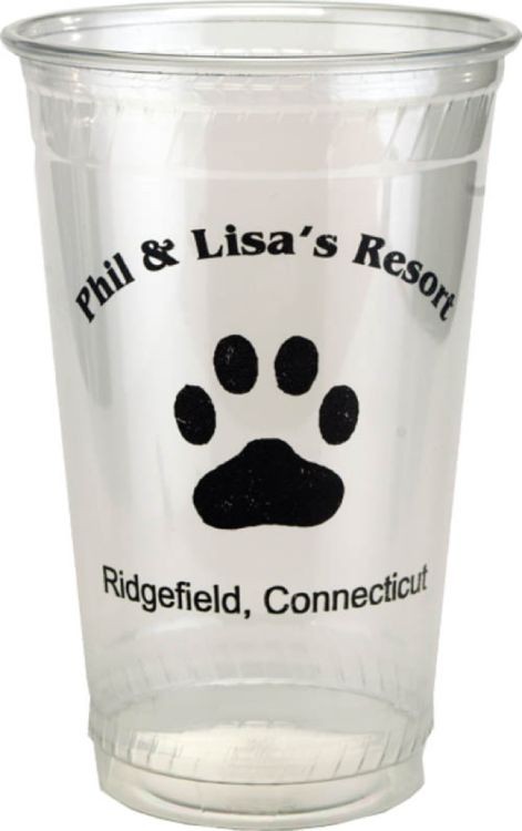 20 oz. Eco-Friendly Cup 2
