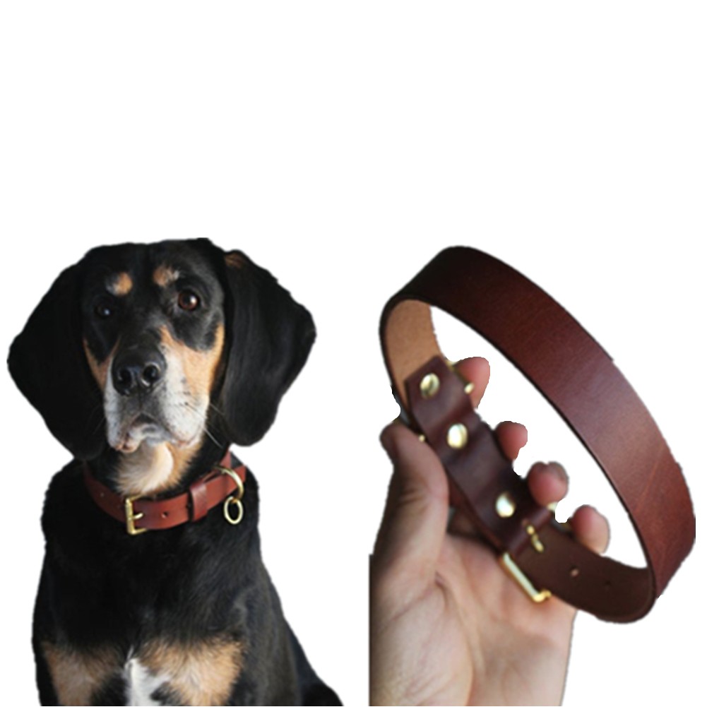 Leather Pet Collar Dog Collar 5