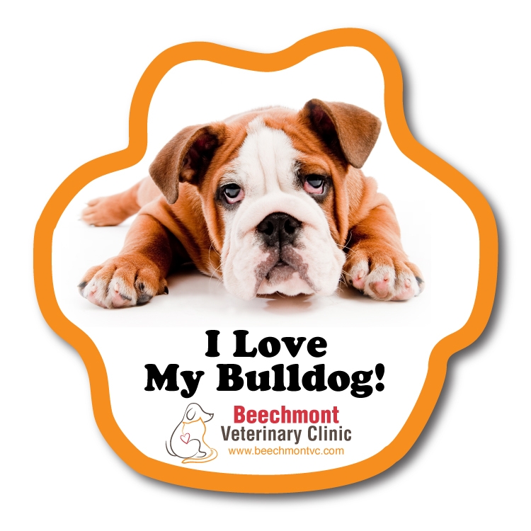 Outdoor Fade Resistant Vinyl Paw Decal & Booster 2