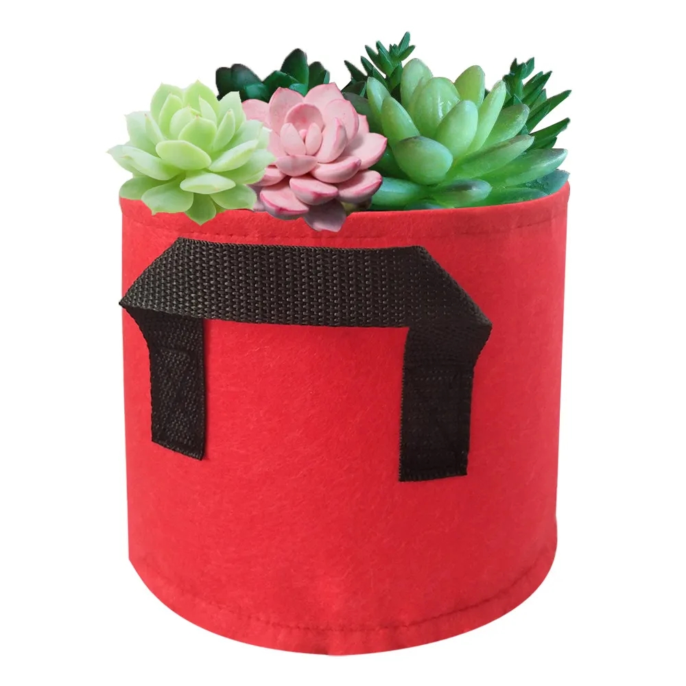 5 Gallon Plant Grow Bag 6