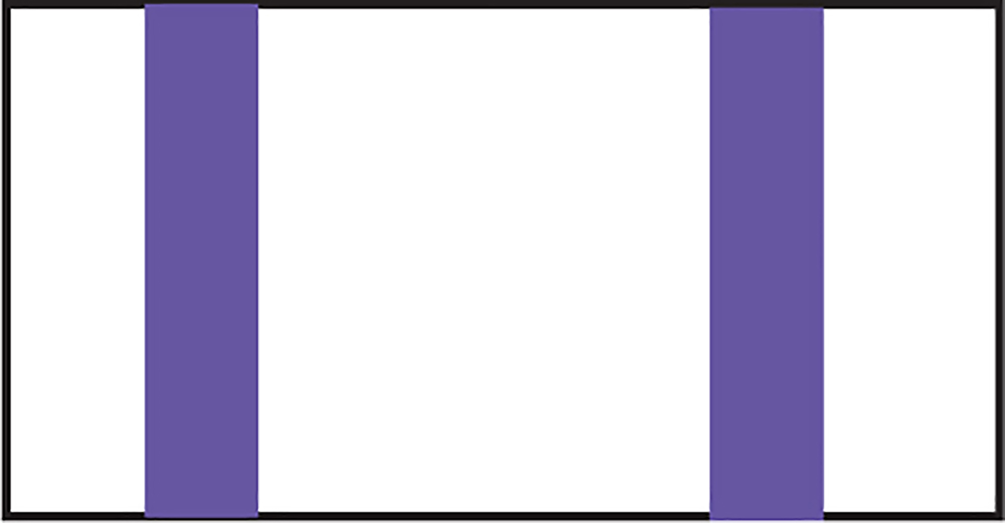Dual Stripe Beach/Bath Towel 9
