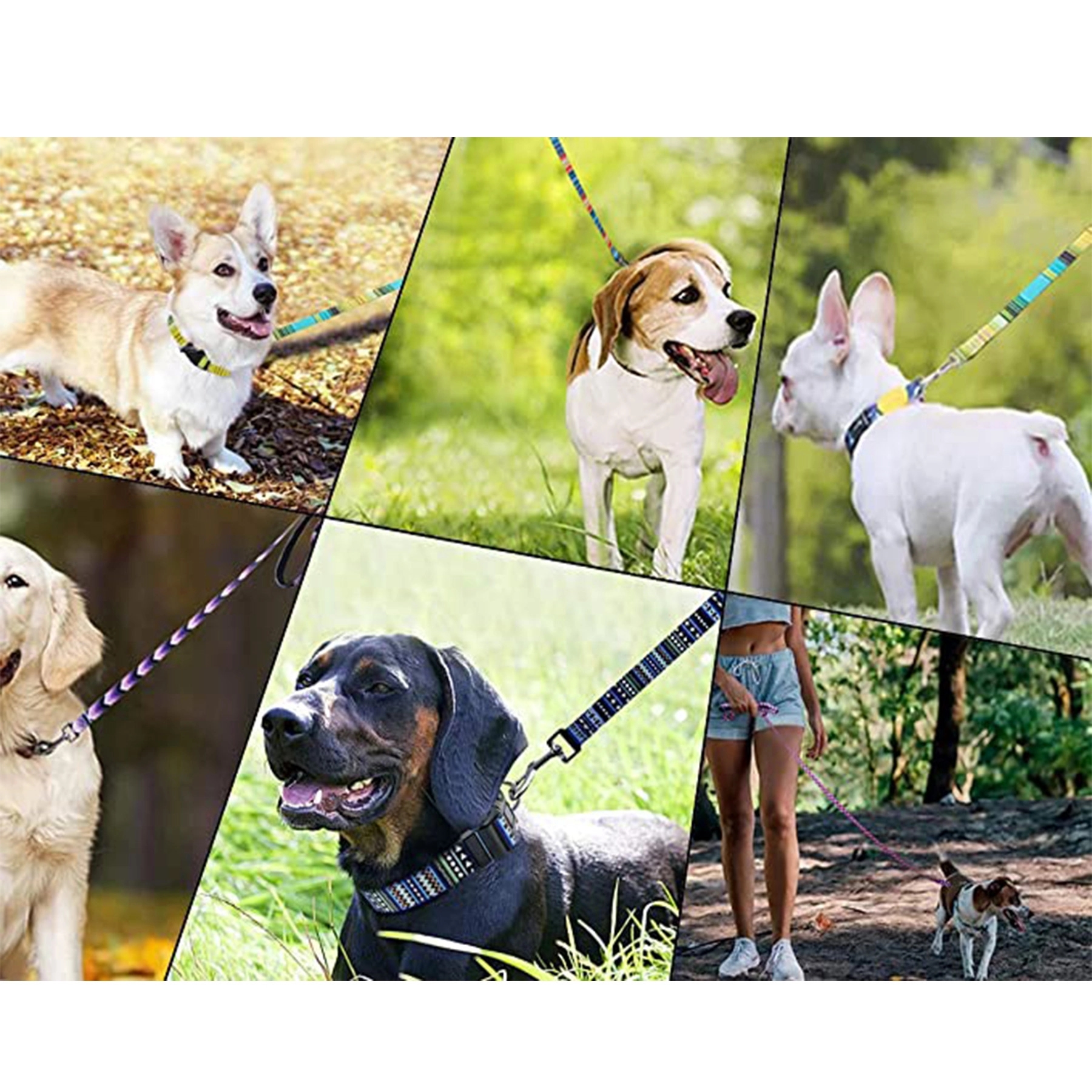 Cute Printed Dog Leash Rope 4