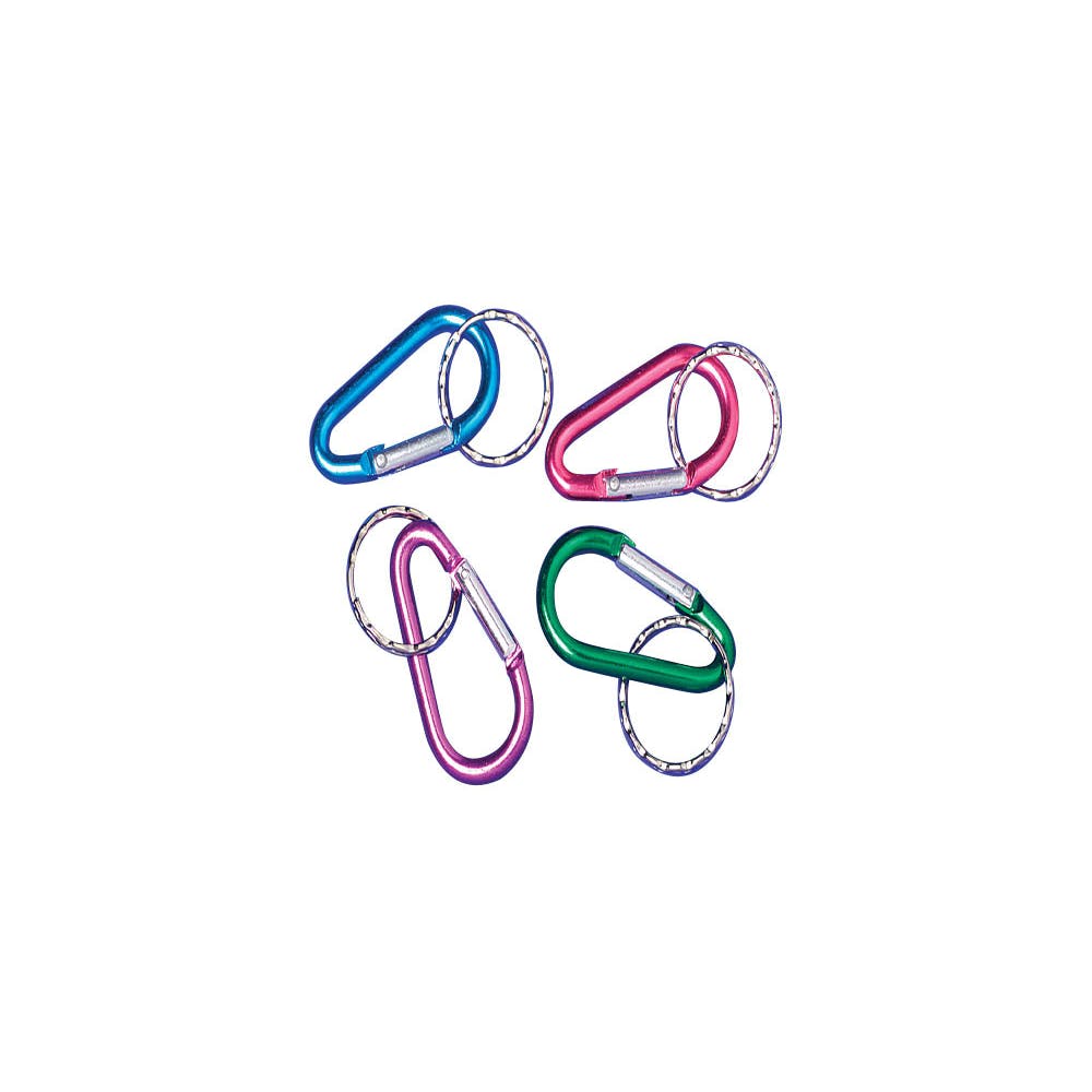 Carabiner Keychains - Assorted 2