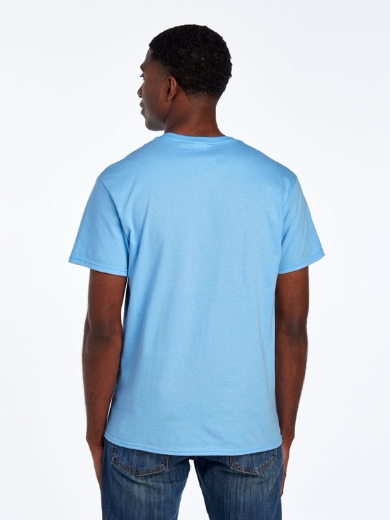 FRUIT OF THE LOOM HD Cotton™ Unisex T-Shirt 172