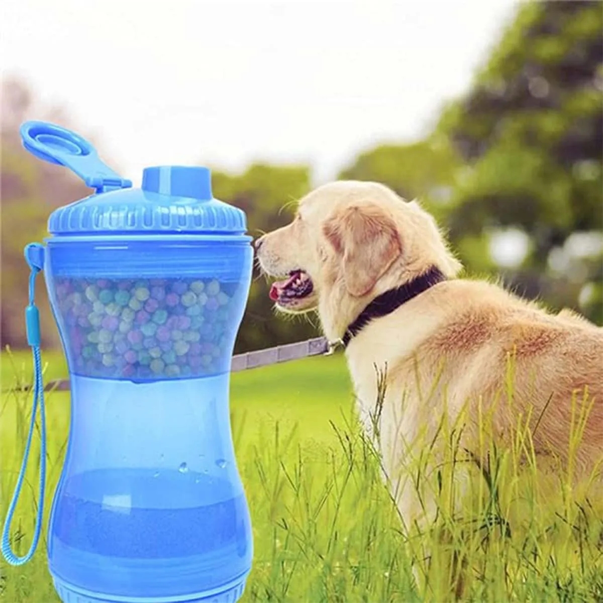 Portable Travel Dog Water Bottle 4