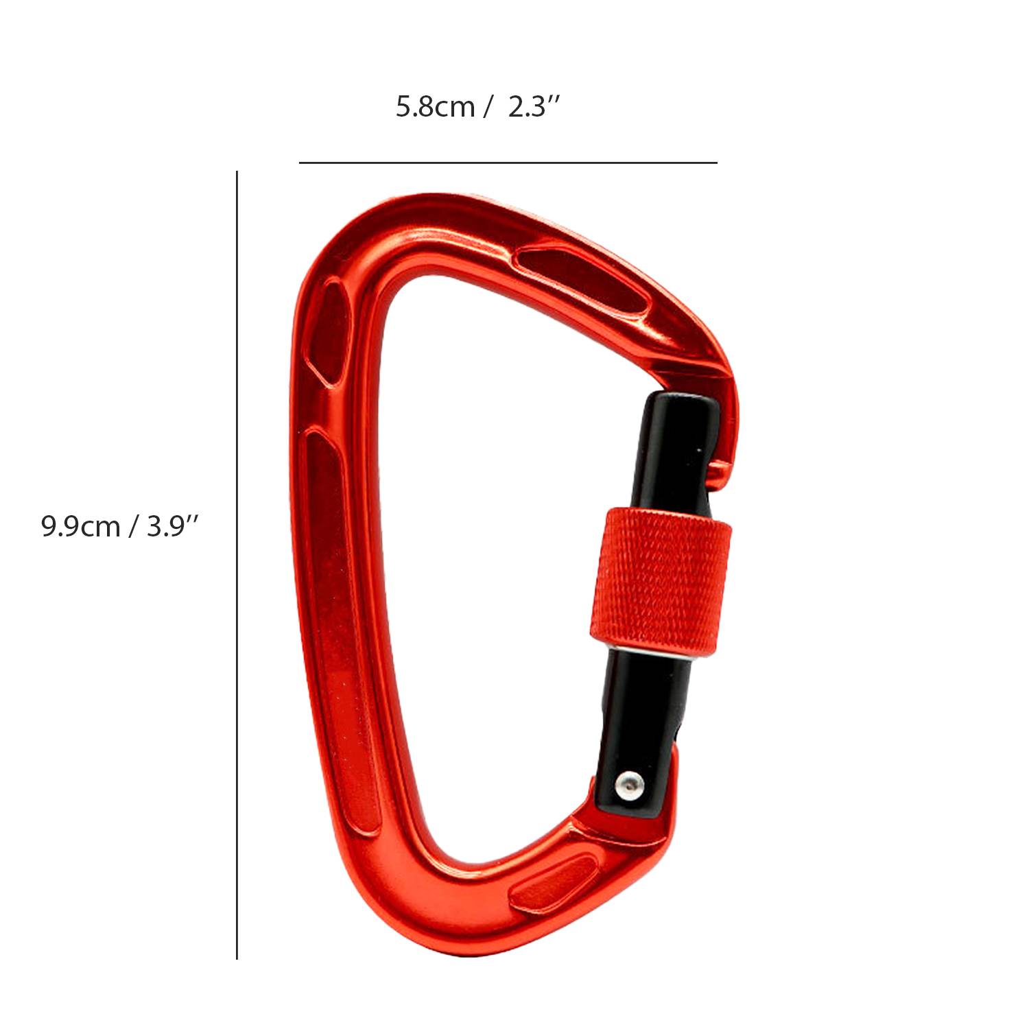 D Ring Climb Locking Carabiner Clip Lightweight and Strong 7