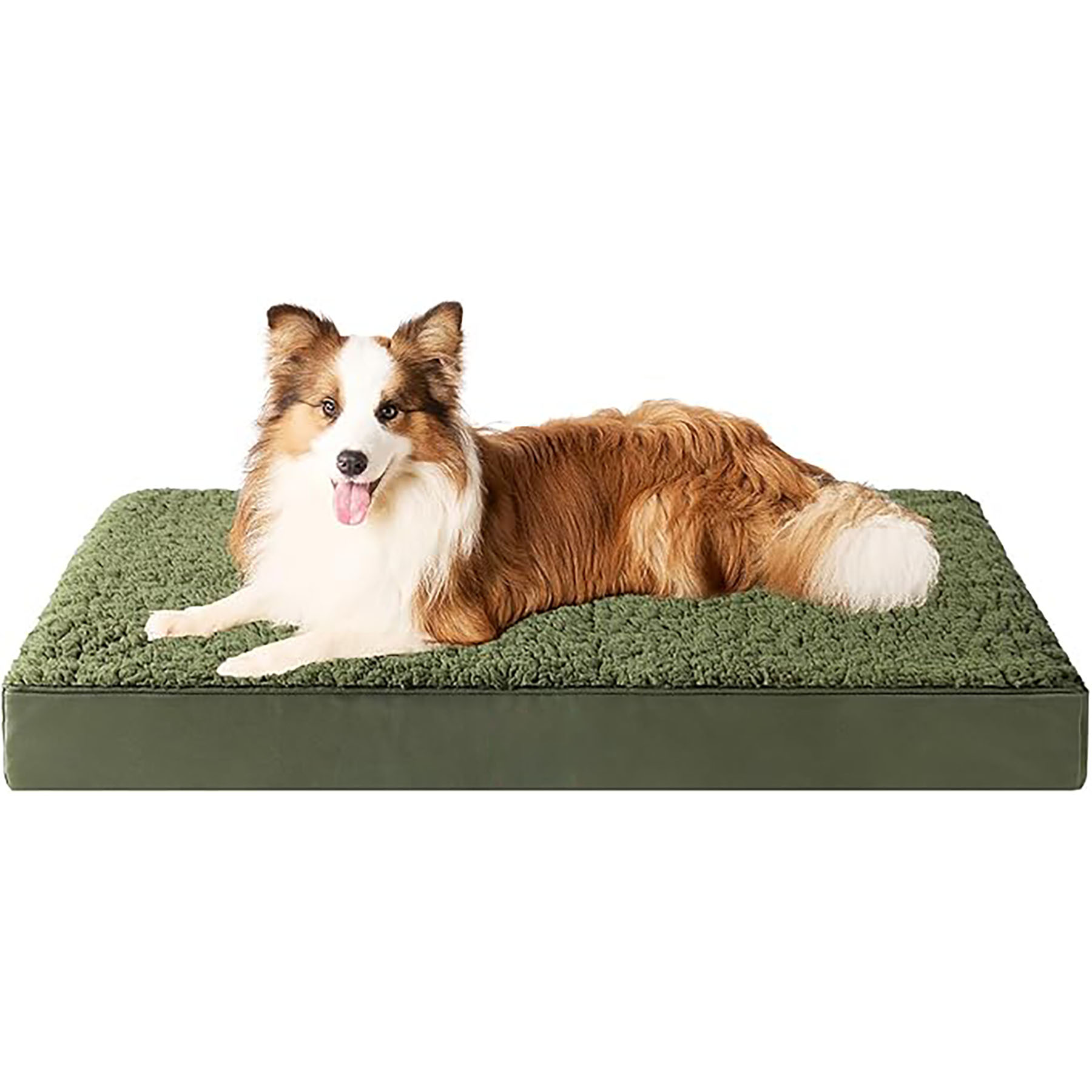 Dog Beds 6