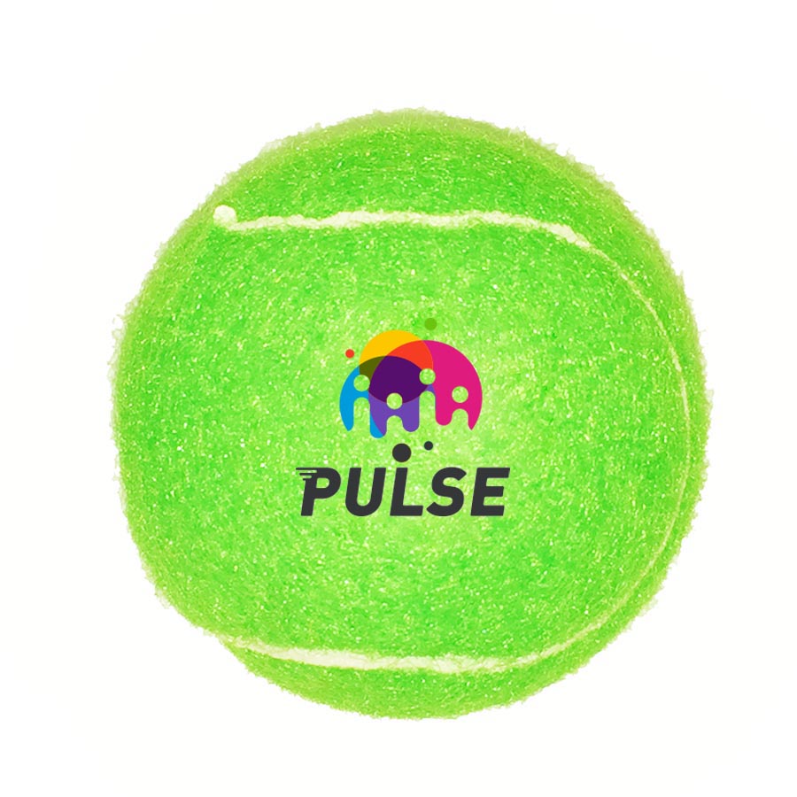 Full Color Fido's Dog Ball 37