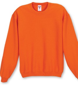 Embroidered Jerzees Adult Long Sleeve Colored Crew Neck Sweatshirt, custom hoodie or sweatshirt with logo imprint 2