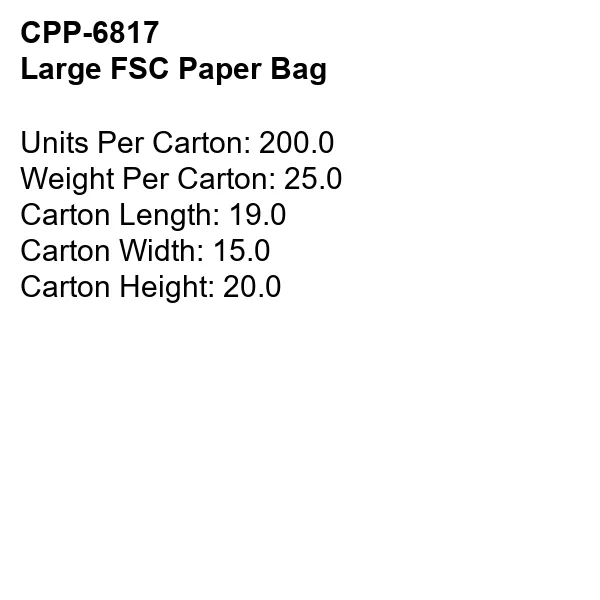 LARGE FSC PAPER BAG 9