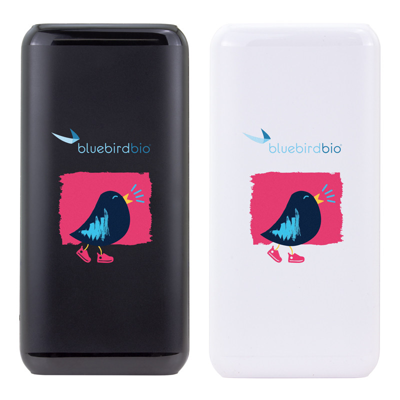 10,000 mAh Power Bank 7