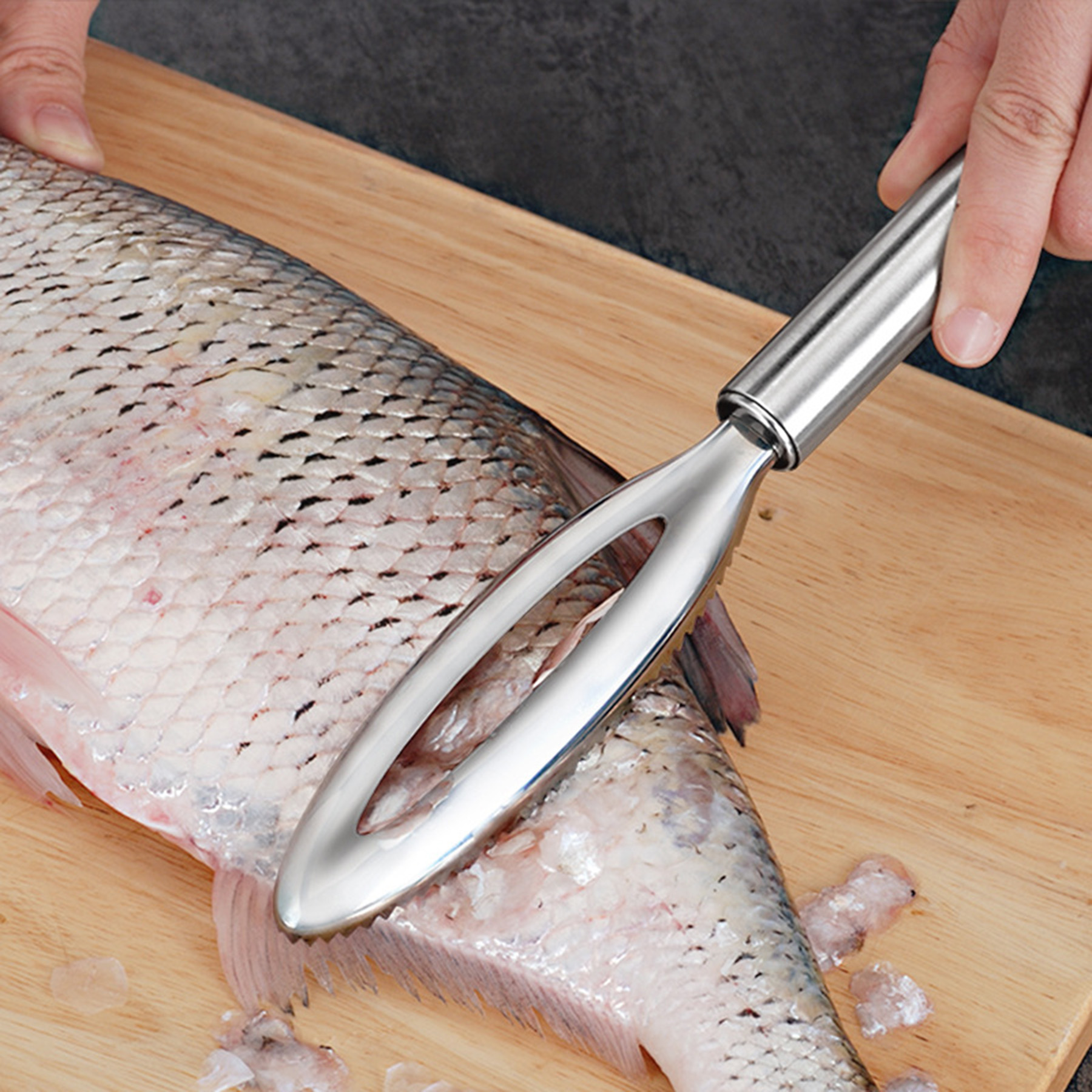 Stainless Steel Sawtoothfor Fish Scaler Remover 4
