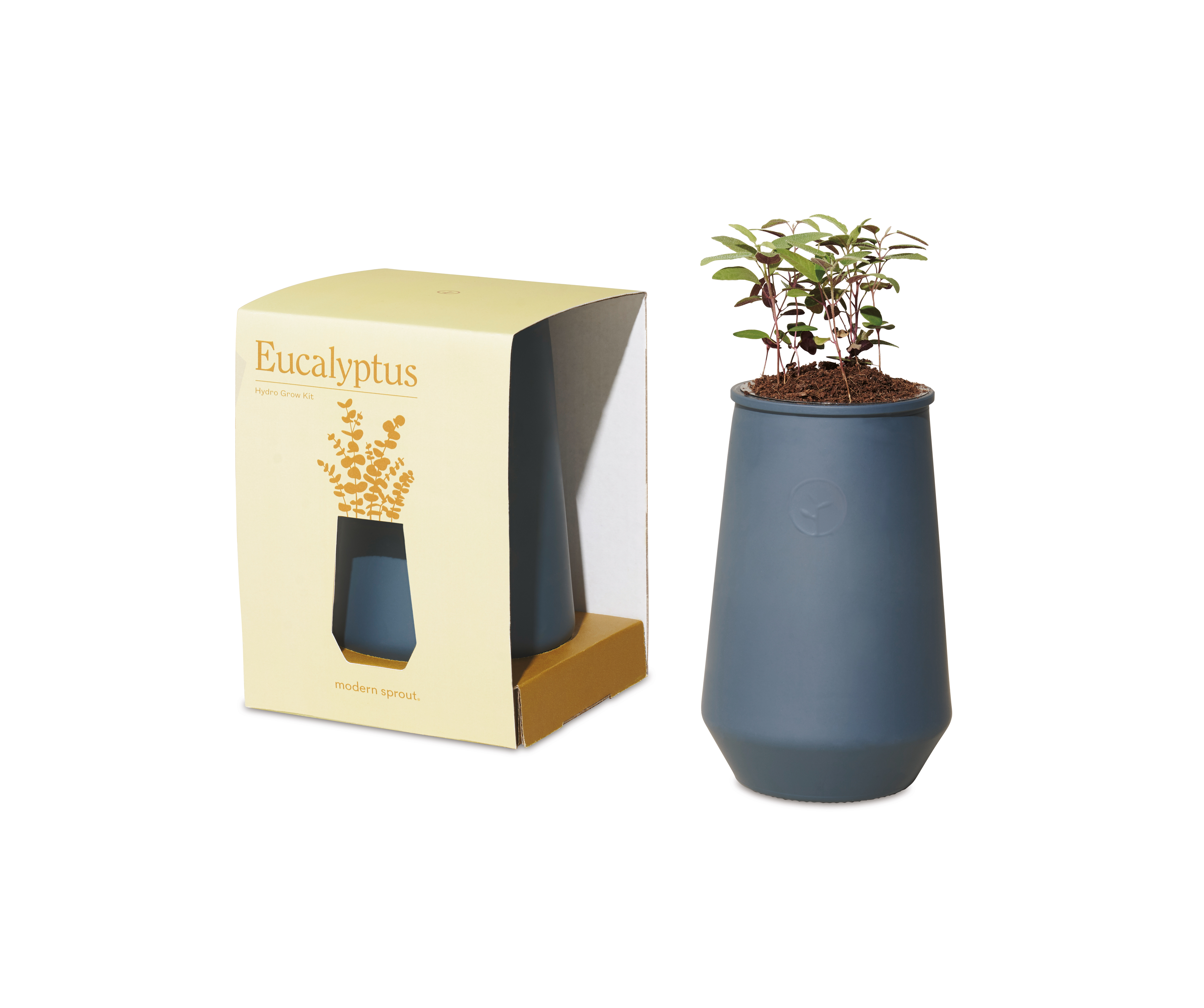 Modern Sprout Tapered Tumbler Grow Kit