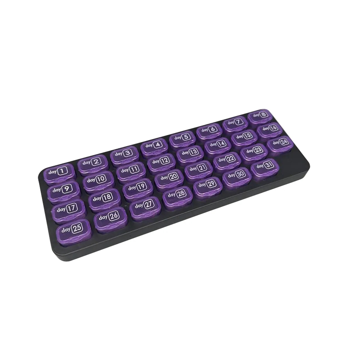 Monthly 31 Grid Pill Box 2