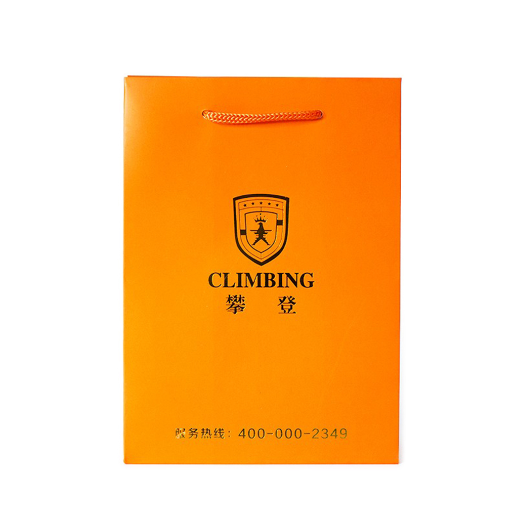 210g C1S paper bag with foil imprint on all sides (8.25*10.5*4") 2