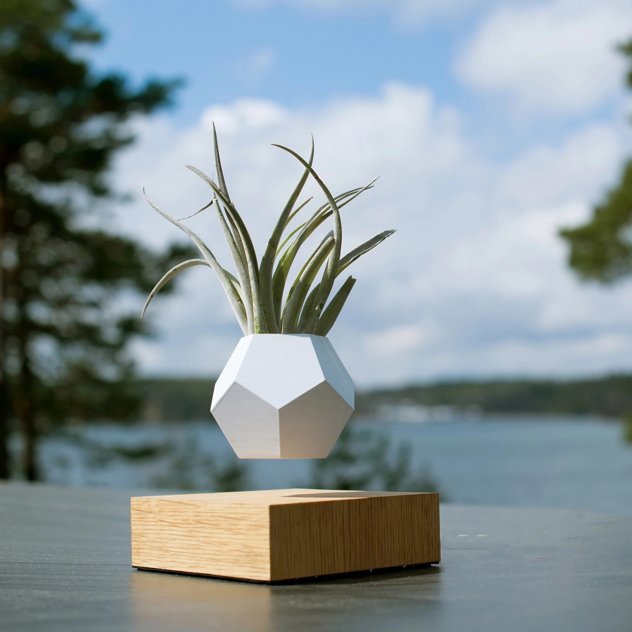 Magnetic Levitating Floating flower planter 7