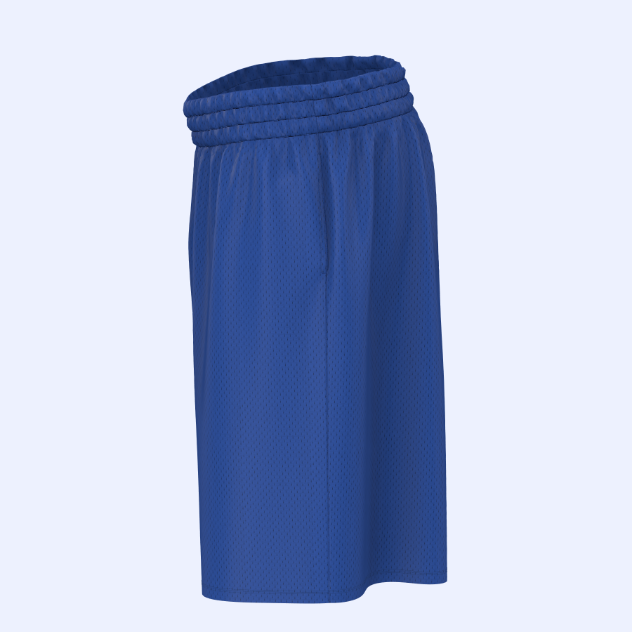 Mini Mesh Shorts w/ 9" Inseam 3