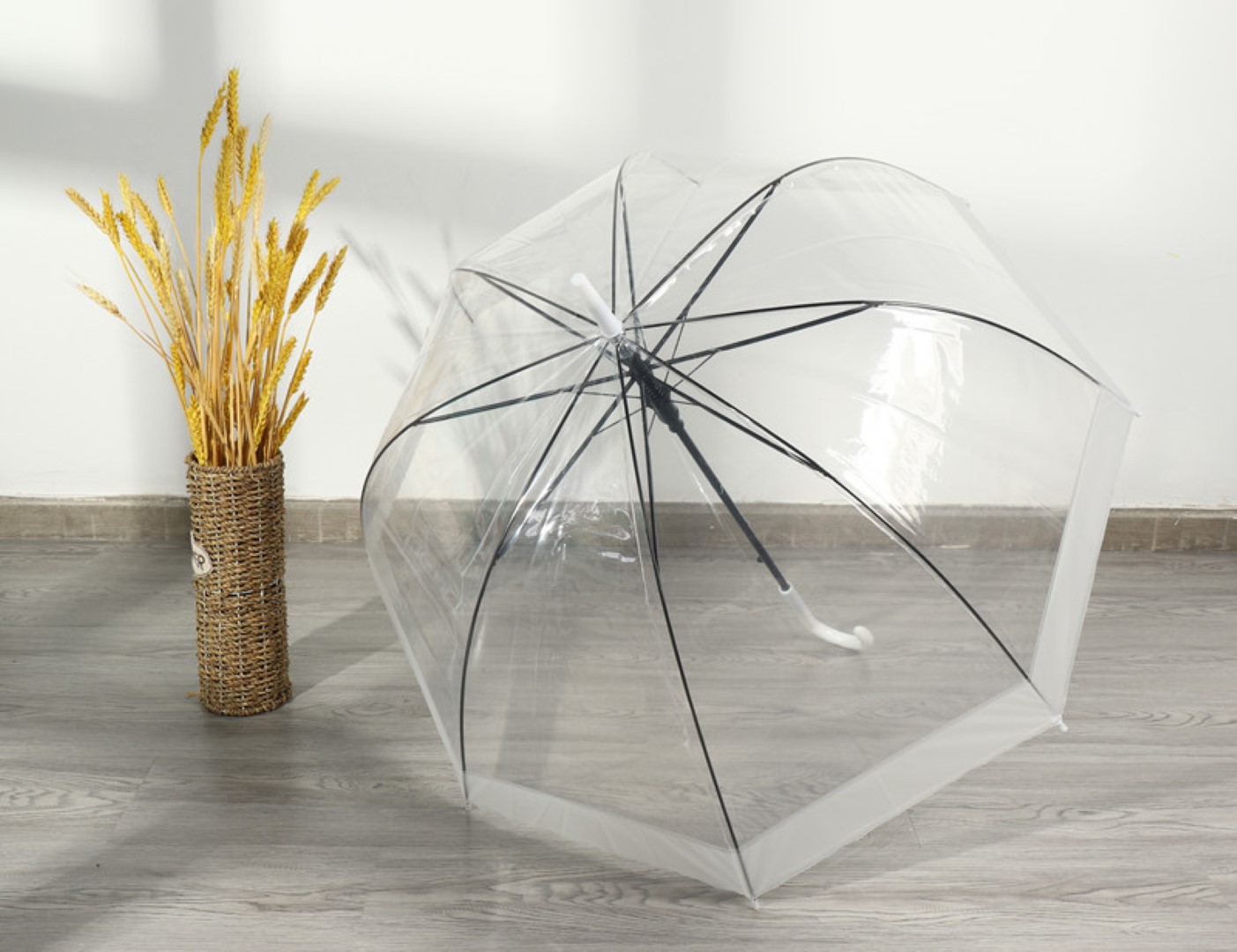 Clear Bubble Umbrella 7