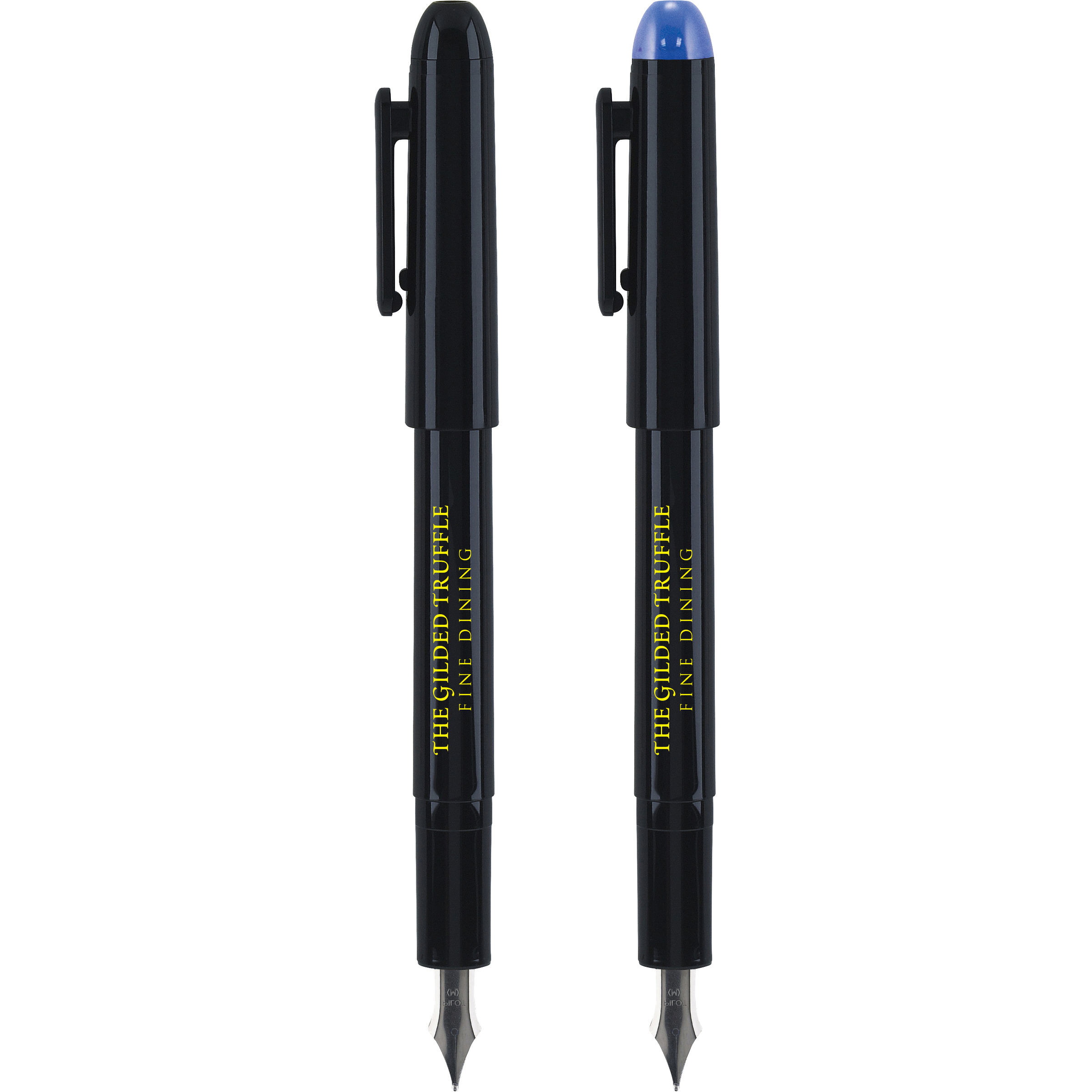 Precise Varsity® Fountain Pen