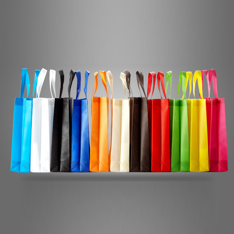 Non-Woven Shopping organizer Bag 3
