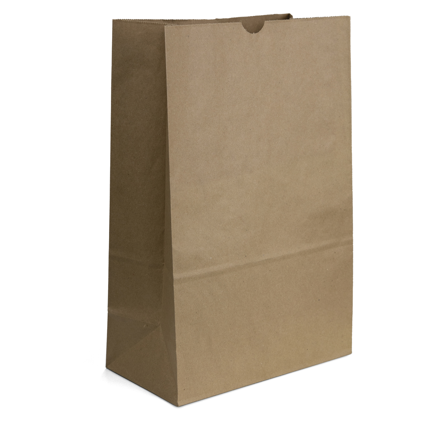 1/6 BBL Bag - Dynamic Color 4