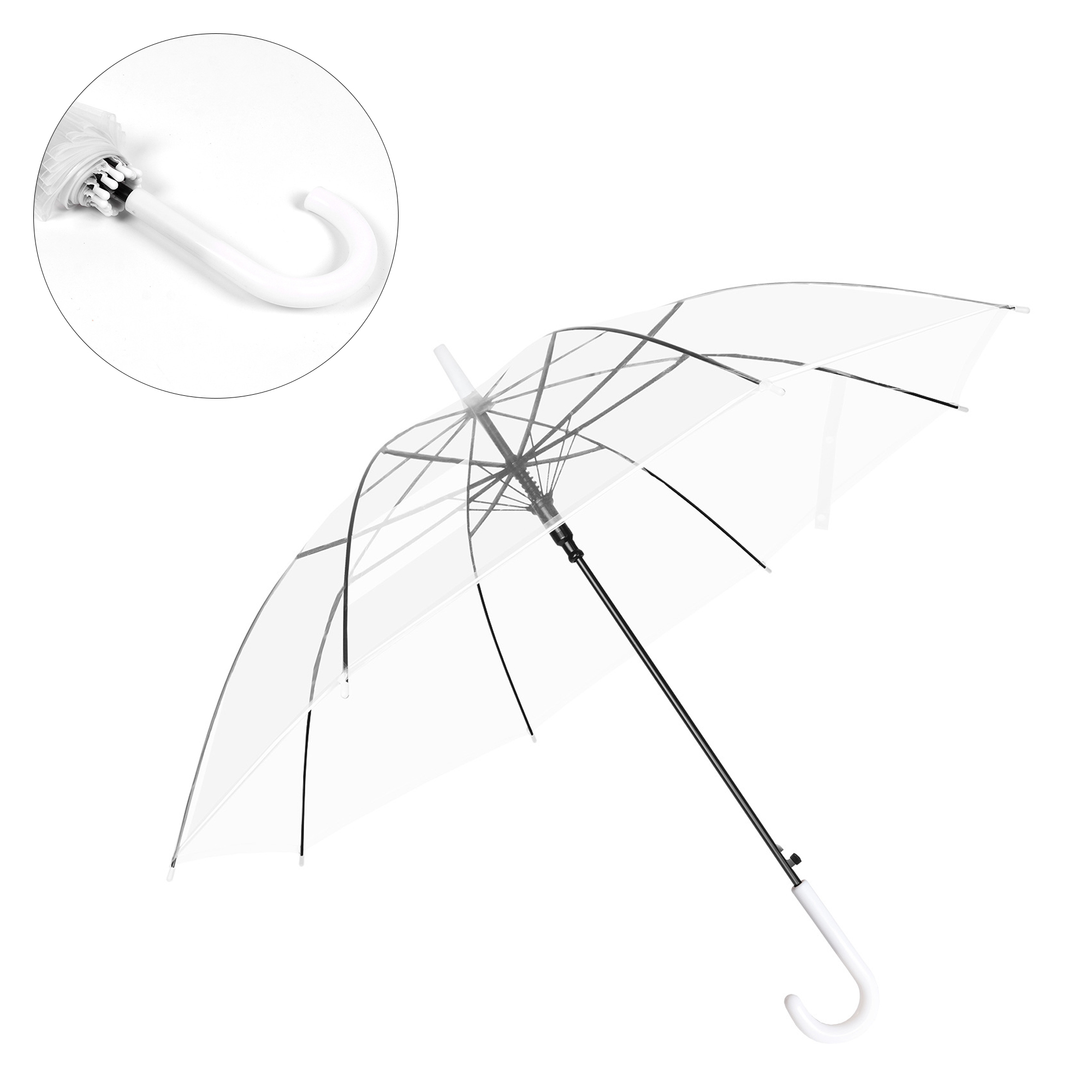 Transparent Umbrella 1