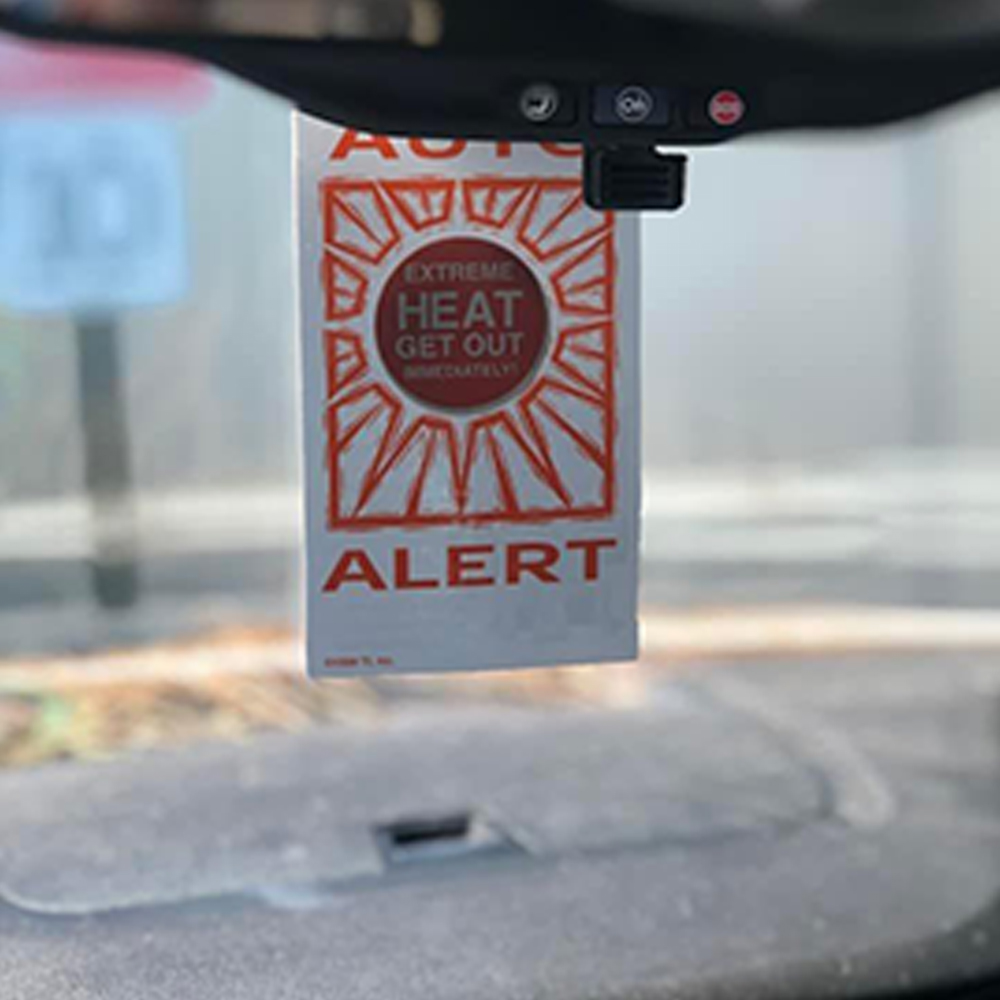 16 Pt Auto Alert Car Thermometer 3