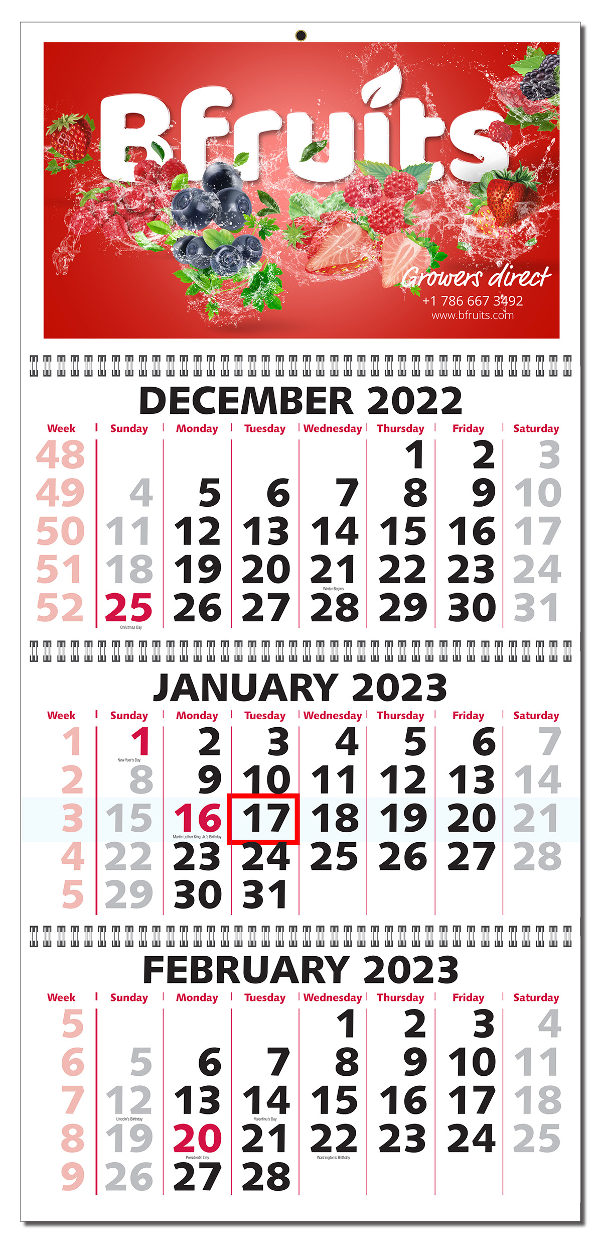 Three Month View Wire-O Bound Wall Calendar 3