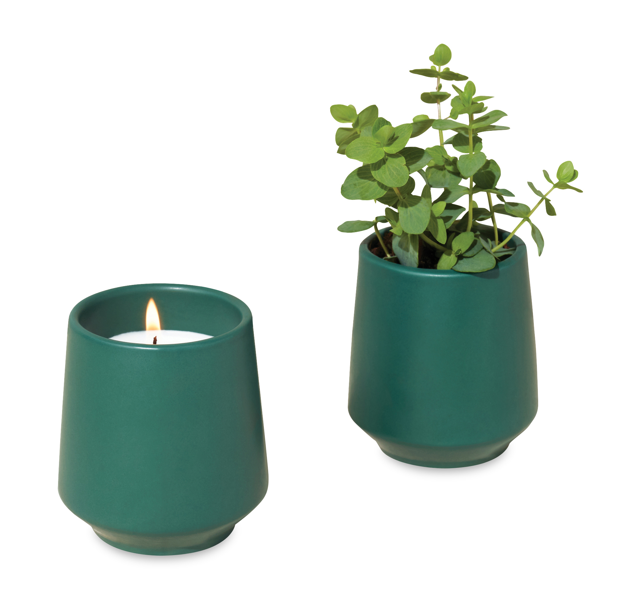 Modern Sprout® Rooted Candle